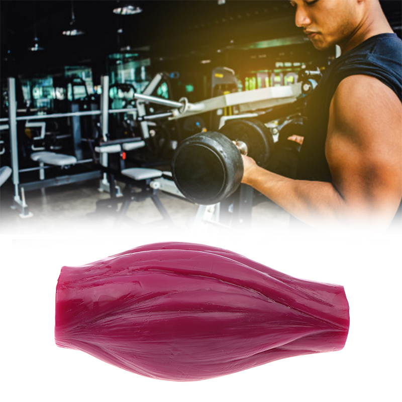 1lb Muscle to Keep Fit & Weigh - Nutrition And Fitness Courses review and price